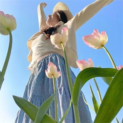 泰版狐狸的夏天